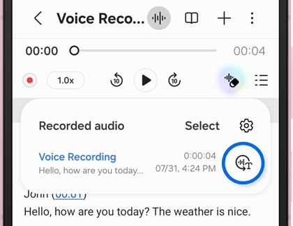 Voice recording menu options showing audio playback controls at the top and a Recorded audio menu below with a speech-to-text icon highlighted.