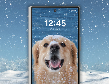 Galaxy Z Fold6 displaying a wallpaper on the cover screen of a dog in snow