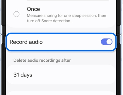 Record audio tab highlighted and enabled