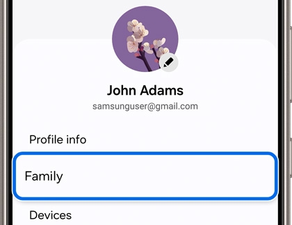 Family tab highlighted in Settings