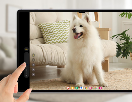 A person using a Galaxy tablet and zooming in on a dog