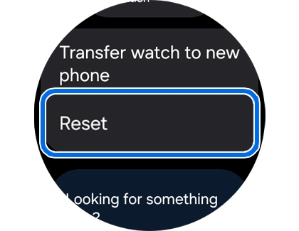 General menu with Reset highlighted.