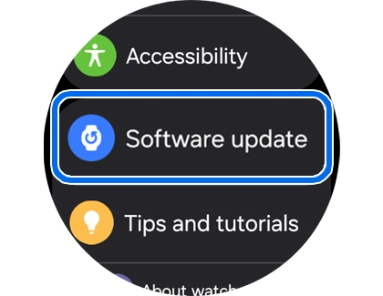 Settings menu with Software update option highlighted.