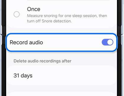 Record audio highlighted and enabled