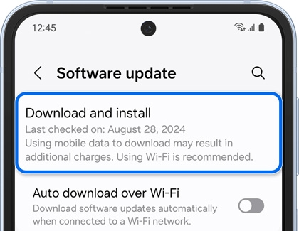 Download and install highlighted in Software update screen on a Galaxy phone