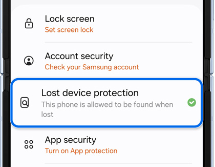 Lost device protection tab highlighted