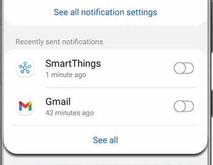 See all highlighted under Recently sent notifications in the Galaxy Wearable app