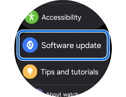 A Galaxy Watch settings screen with Software update highlighted