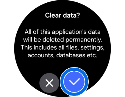 Clear data confirmation screen with the check mark icon being selected.