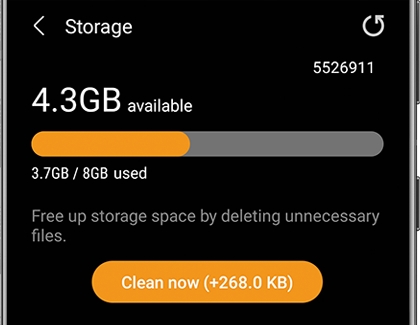 The Storage settings in the Galaxy Wearable app