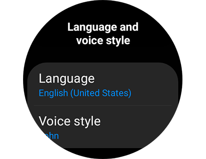 List of settings for Language and voice style