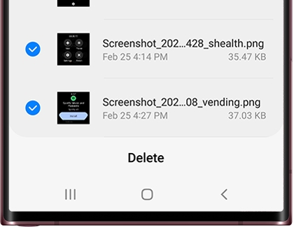 List of images selected with Delete option displayed