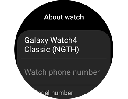 List of information for About watch on a Samsung Galaxy Watch