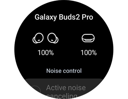 List of information and settings for Galaxy Buds2 Pro