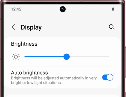 Brightness with a slider below it in the Galaxy Wearable app