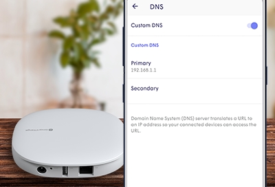 Detectable pace Conductivity Custom DNS with SmartThings Wifi
