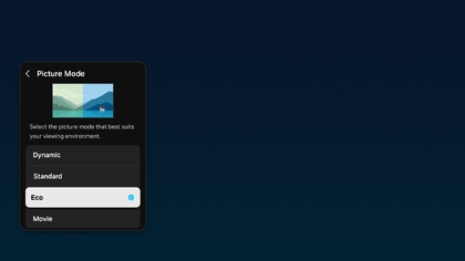Picture settings screen on a Samsung TV showing Picture Mode options with Eco selected.