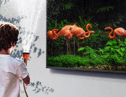 A child spraying water near a Samsung TV outdoors while flamingos are displayed on screen.