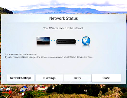 Network Status Test in the TV's Self Diagnosis menu
