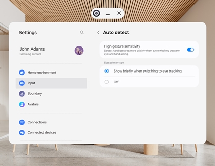 Auto detect settings screen showing gesture sensitivity and eye pointer options.