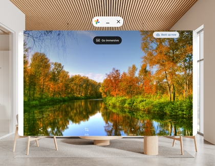 Google Photos showing an Immersive view prompt above the displayed photo.