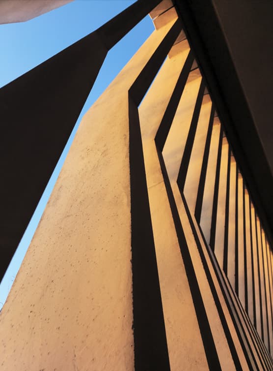 A gallery of shots showcasing the wide variation of brightness, depth and crispness that the …