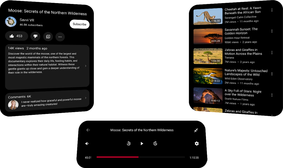 A moose feeding on hay in a natural outdoor setting. YouTube app opened onscreen. On the left, the information of the video onscreen is shown. In the middle at the bottom is the navigator bar of the video. On the right is the playlist of the videos related.